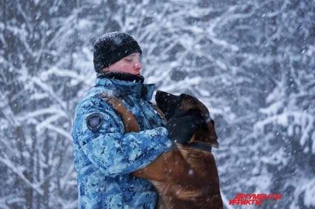    Фото: АиФ/ Александр Тепикин