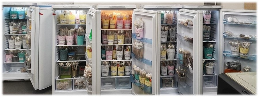 Часть коллекции чистых культур микроскопических грибов и бактерий Института леса им. В.Н. Сукачева СО РАН