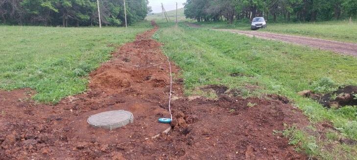    Фото: Россельхознадзор