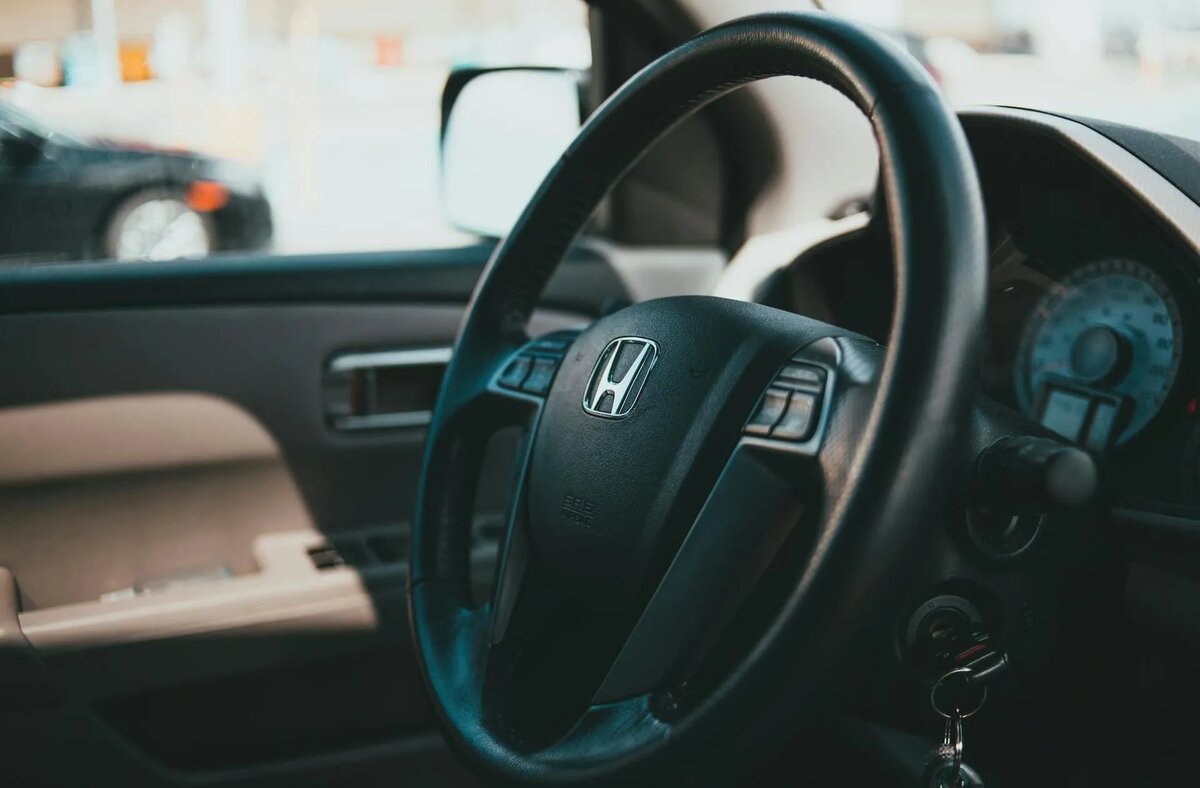 Фото: Erik Mclean / www.pexels.com