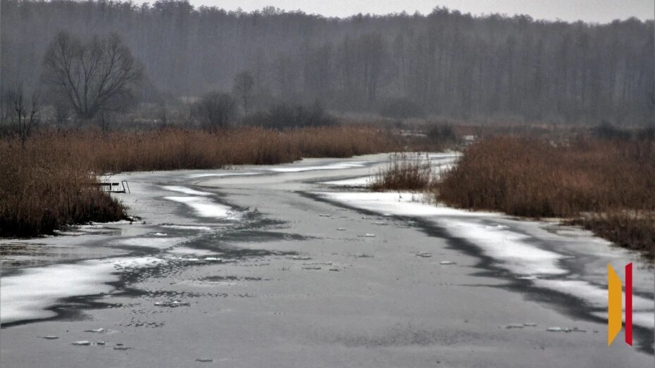    Автор фото: Евгения Емельянова (из архива)