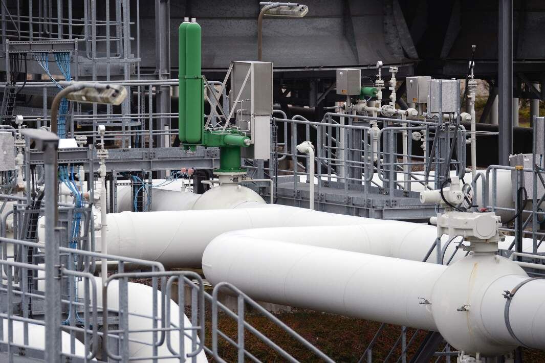 Фото: РИА Новости/Алексей Витвицкий
