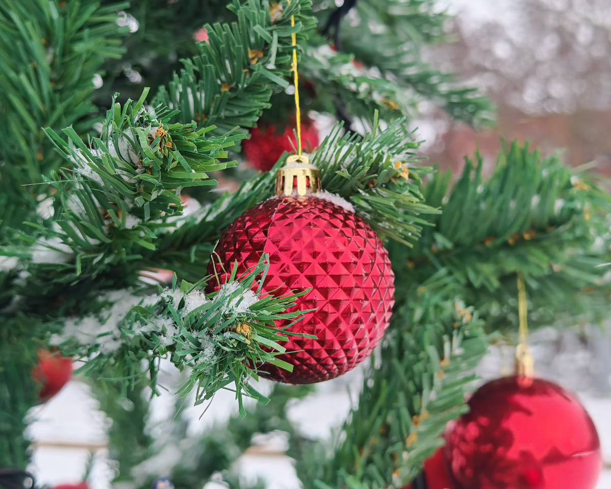 Фото автора канала.