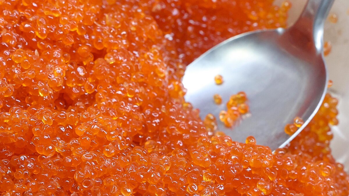    Фото: Petrov Sergey/globallookpress.com