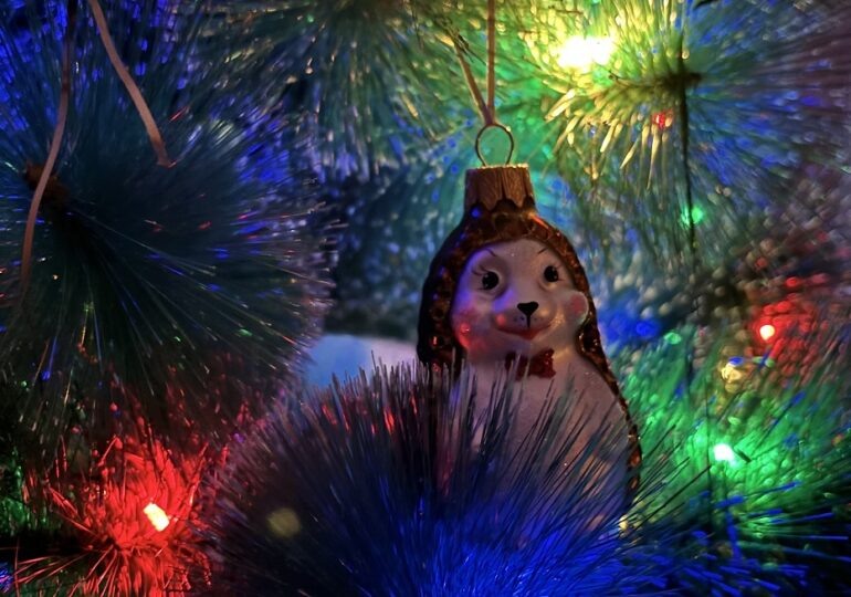 Фото: Самара-ГИС