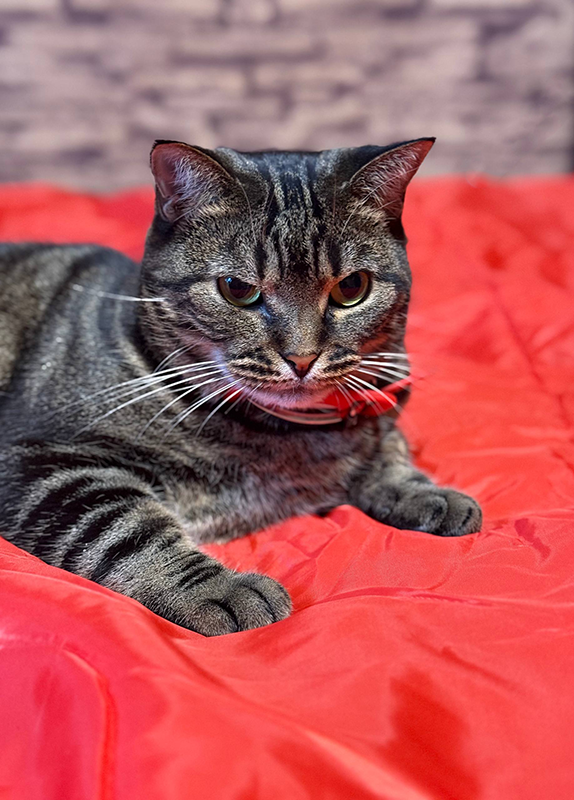 Кайса Сябитова готова помочь советом