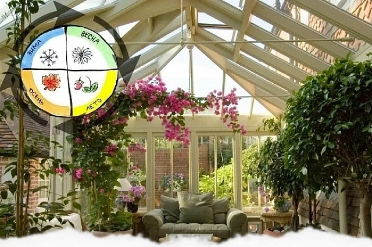    Жителям Башкирии рассказали об уходе за комнатными растениями