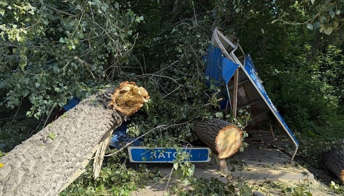    Фото пресс-службы прокуратуры Новосибирской области