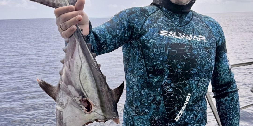 Встреча с акулами под водой