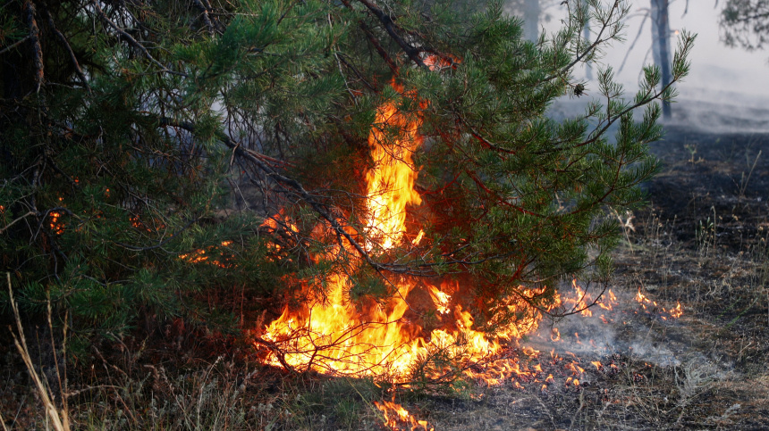    Фото: © РИА Новости/Кирилл Брага