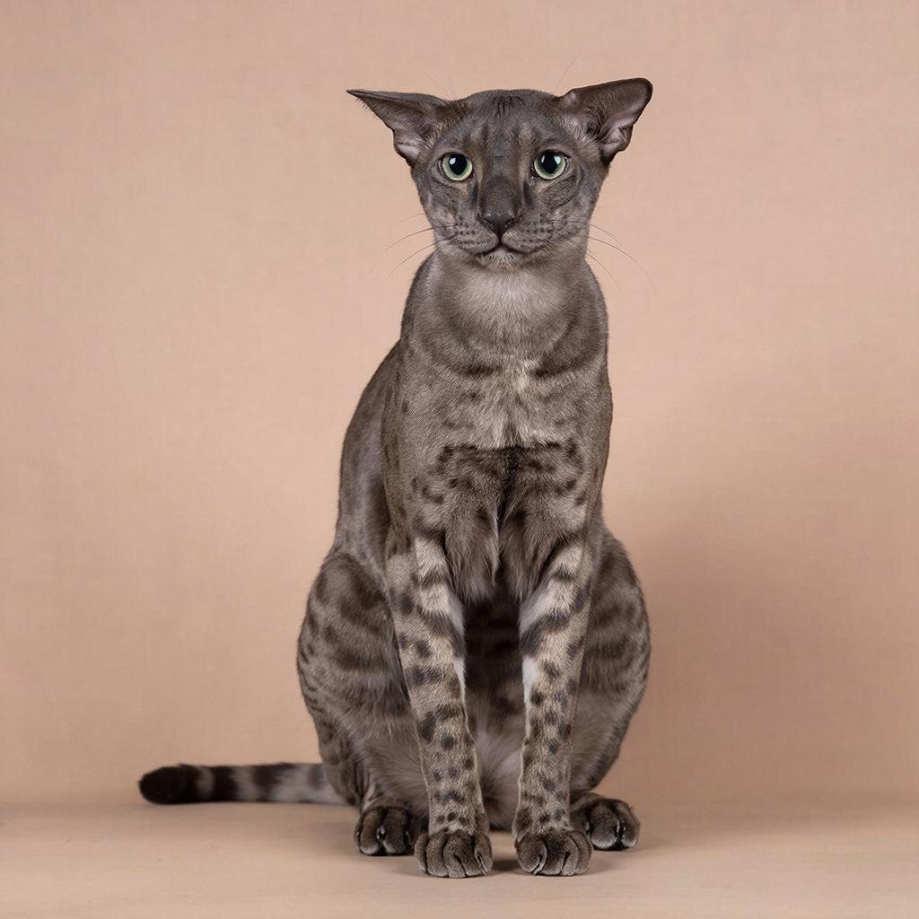 А ты готов продать квартиру?