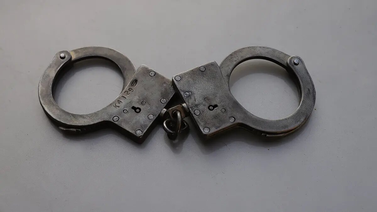    Фото: vm.ru Оливия Ильинская