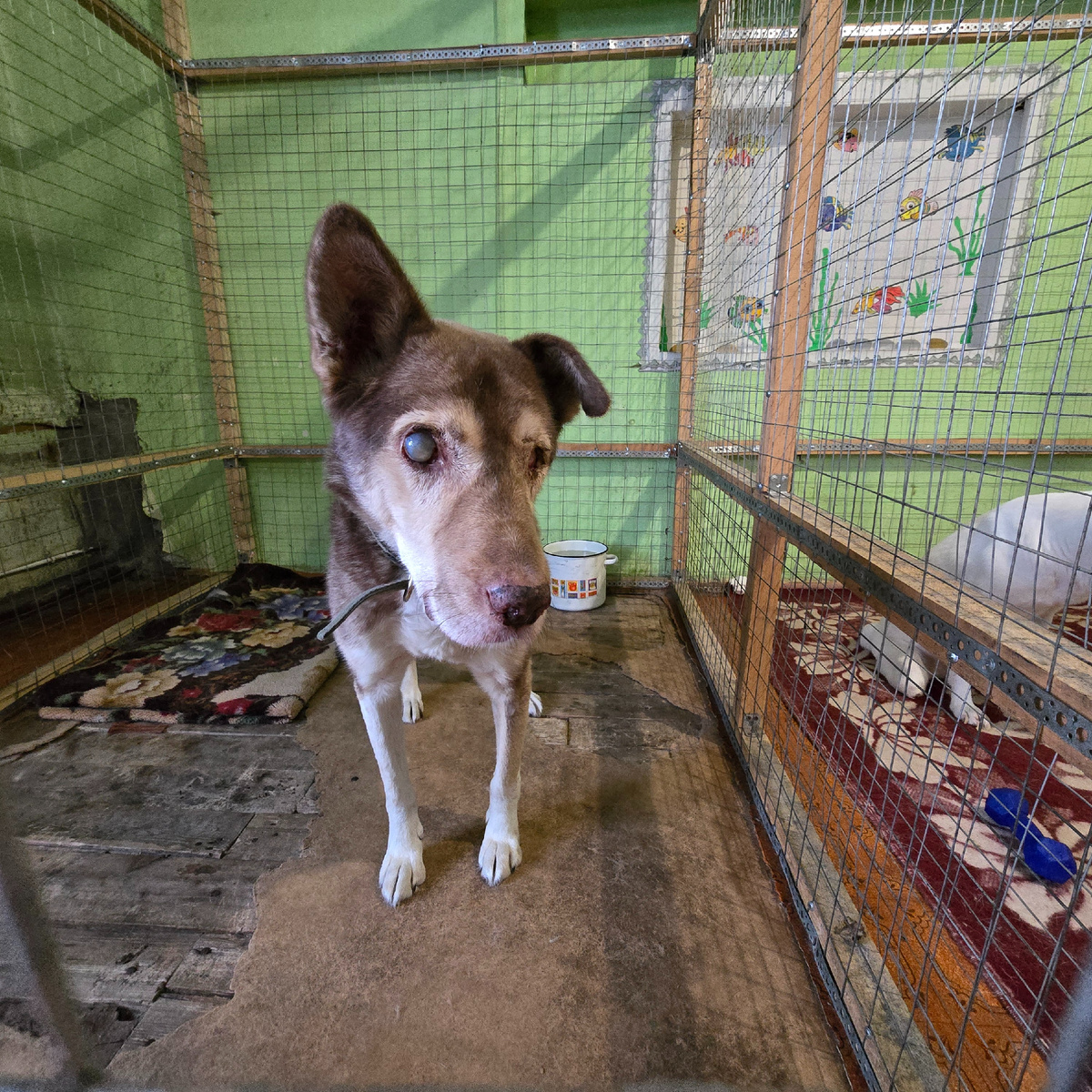 мутные глаза надеются в пустоте