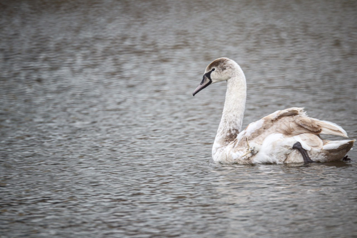 Фото: Александр Лобынцев
