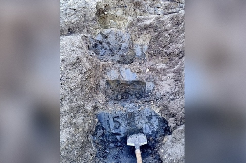    Фото: политех