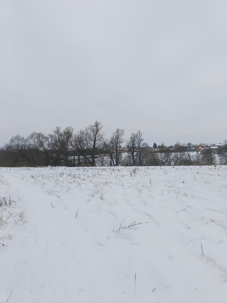 Зимние виды села