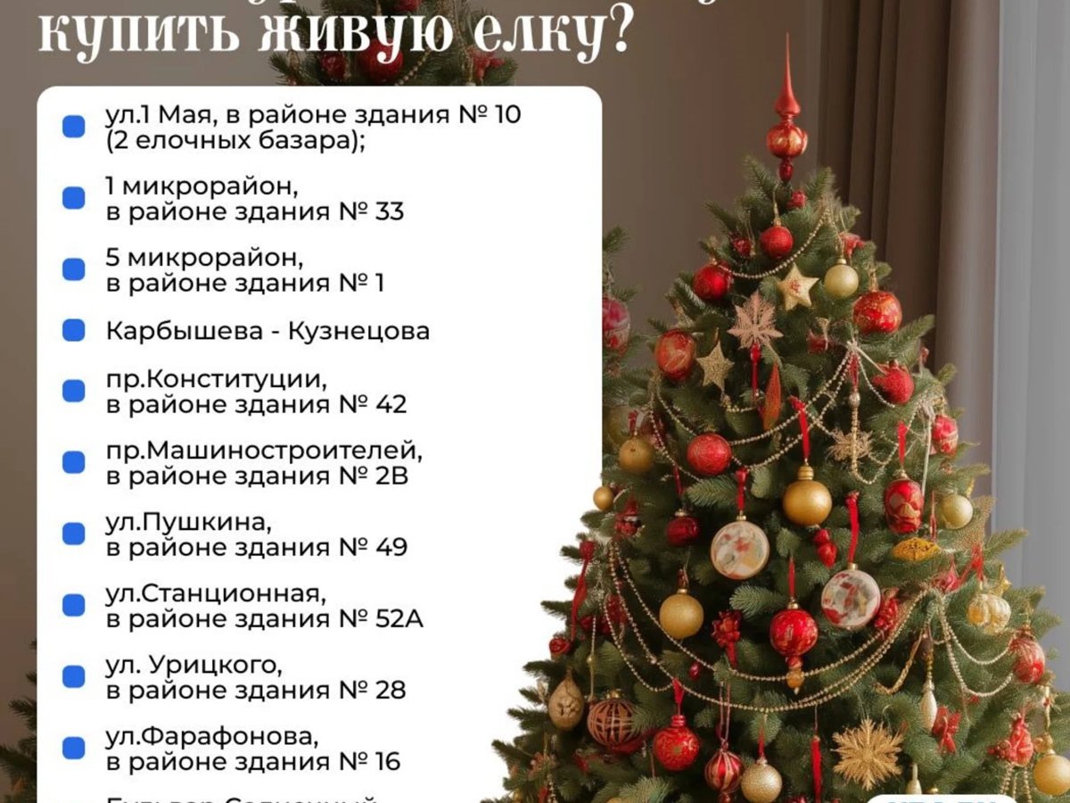    Адреса, где можно купить елку в Кургане