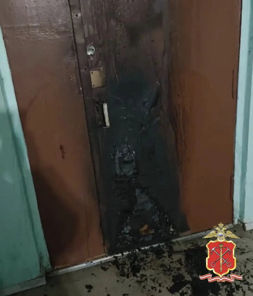    Фото: пресс-служба ГУ МВД России по Петербургу и Ленобласти.