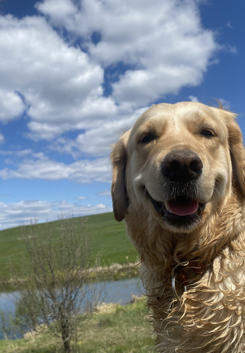 Оля это умеет делать лучше всех