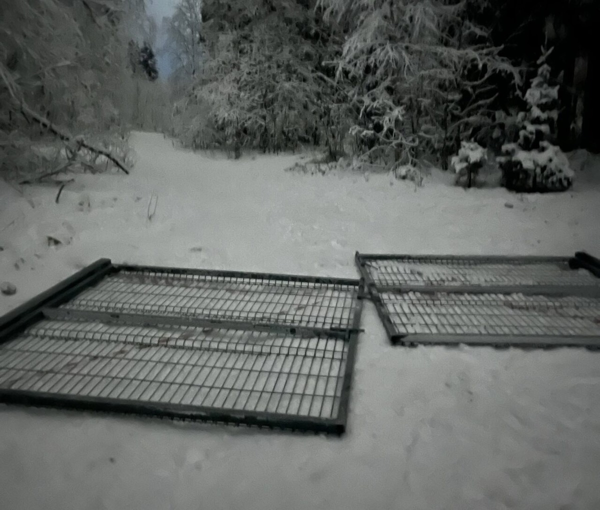    Фото: Администрация Костомукшского муниципального округа/ ВКонтакте