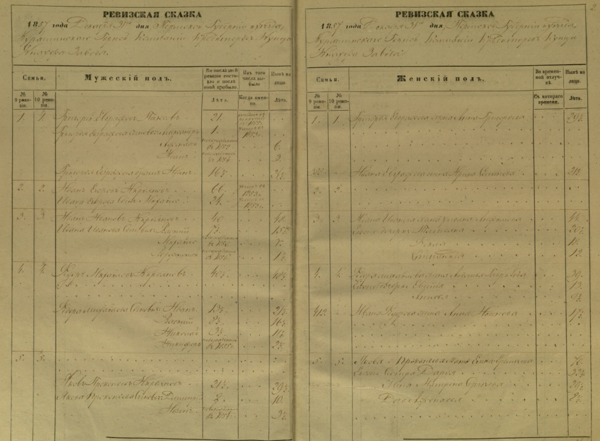 Структура на примере ревизской сказки Курашимского завода Кнауфа за 1857 год