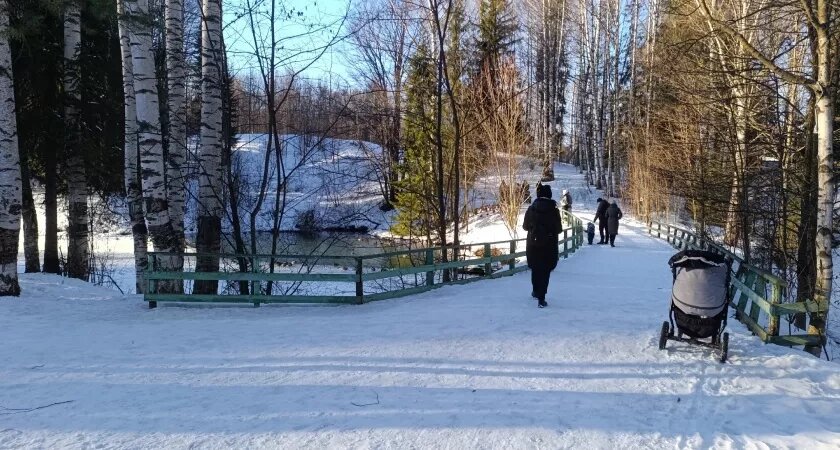    Фото progorod43.ru