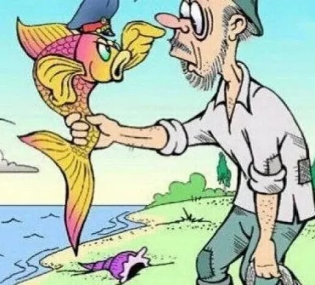 Картинка из интернета