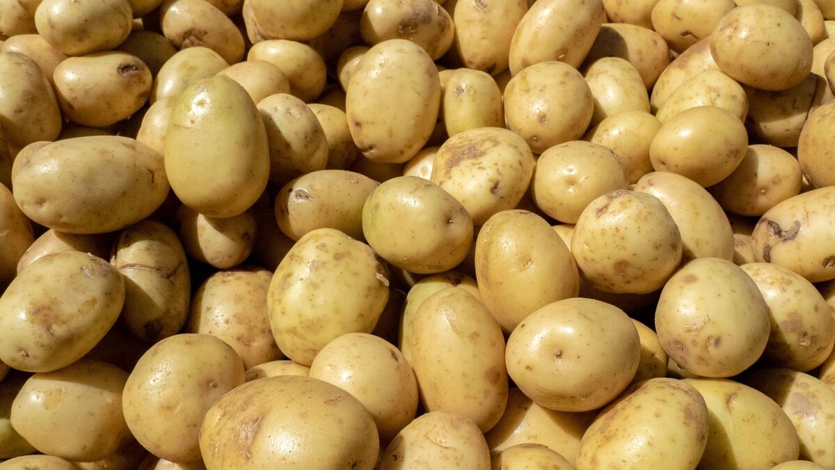    Фото: PARICHUT WONGTHAI / Shutterstock / Fotodom