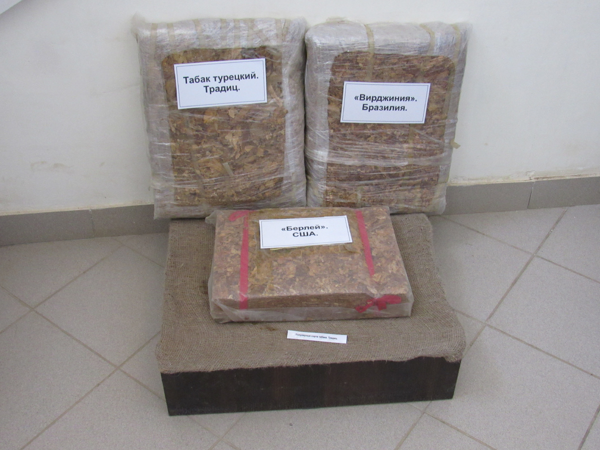 Музей в Сарепте, под Волгоградом