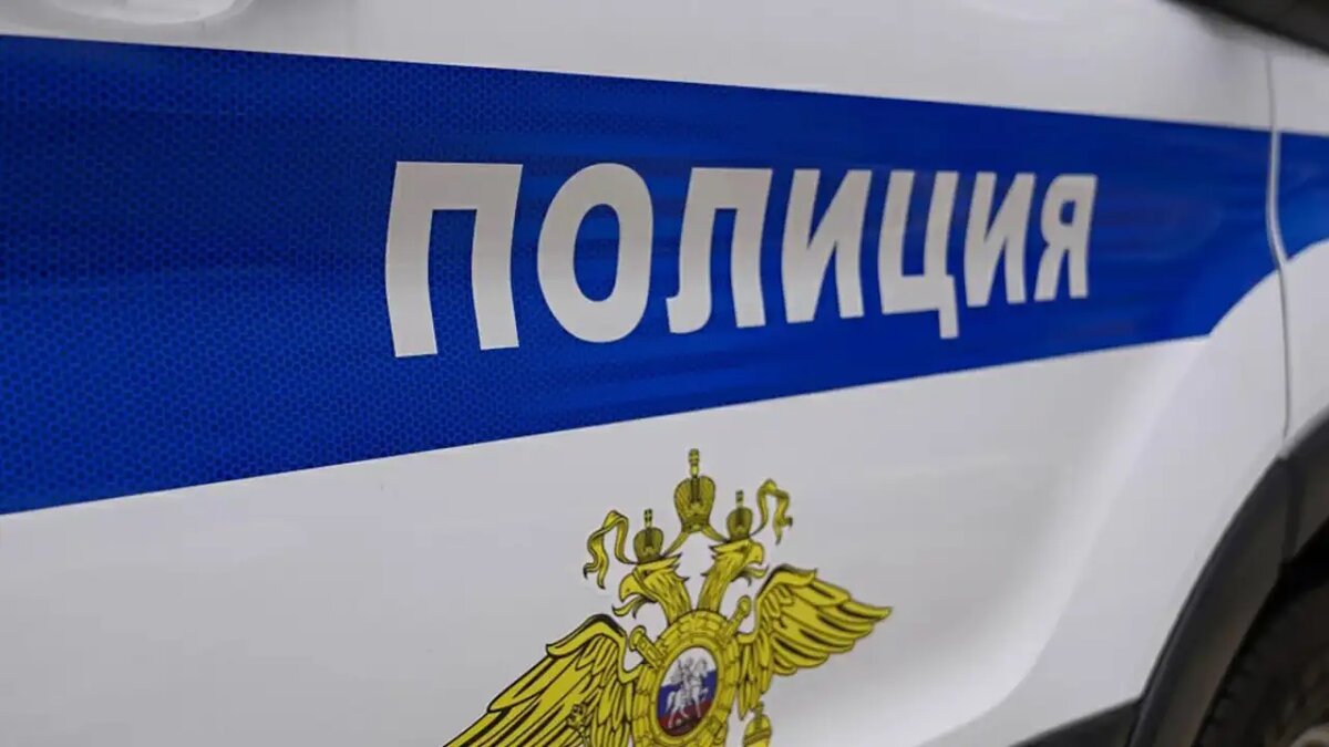    Полиция. © Портал «МВД Медиа»