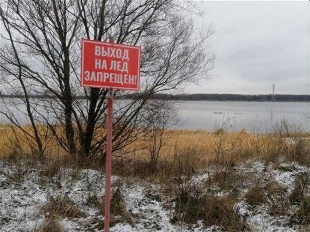 Фото https://t.me/aleksey_smirnov_official