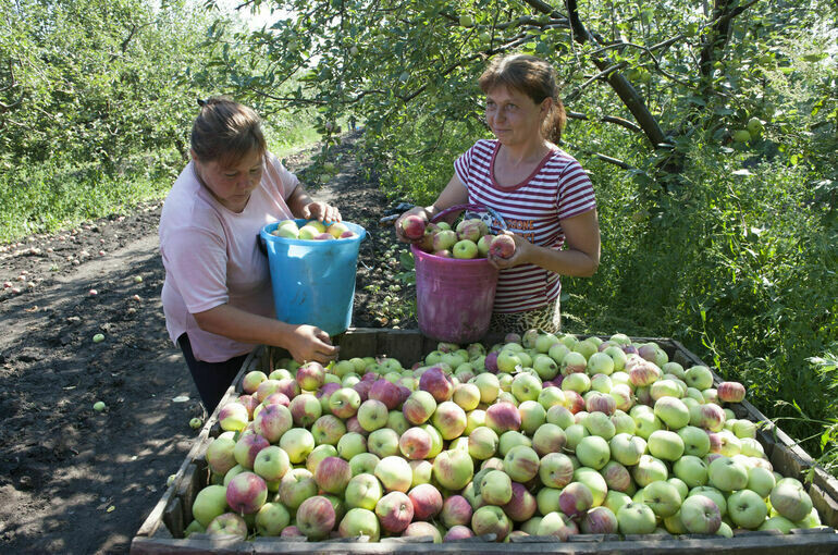   Юрий Инякин/«Парламентская газета»