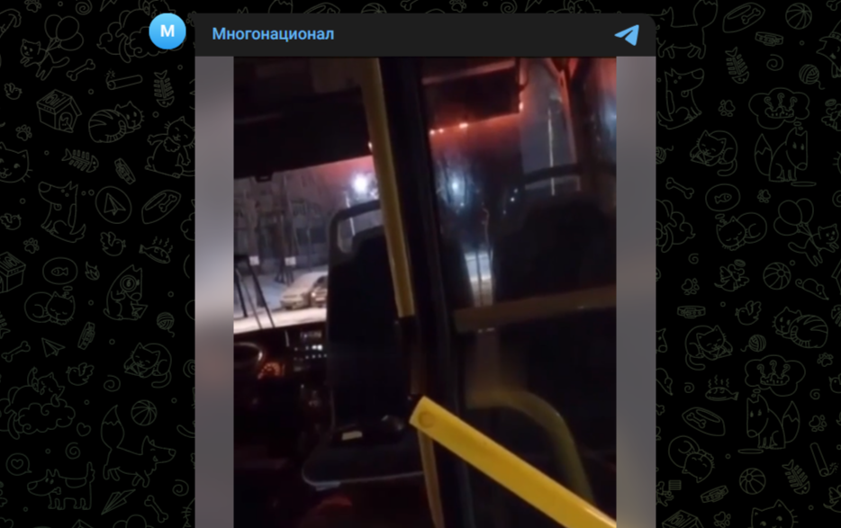 Фото: Telegram-канал "Многонационал"