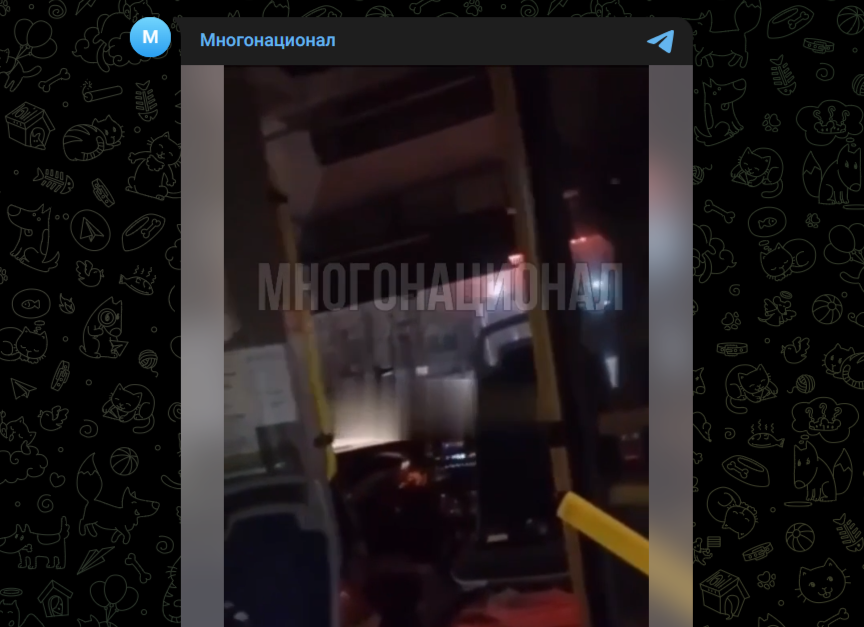Фото: Telegram-канал "Многонационал"