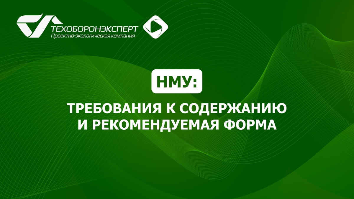 НМУ: требования к содержанию и рекомендуемая форма.