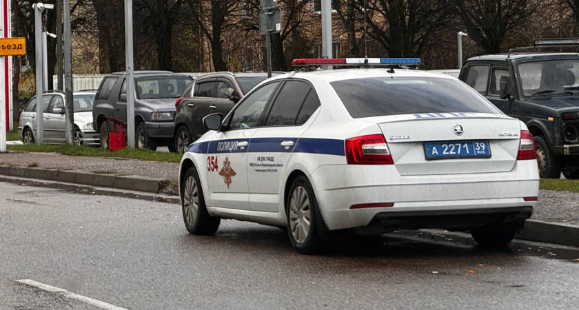    Фото: Первый городской канал Калининград