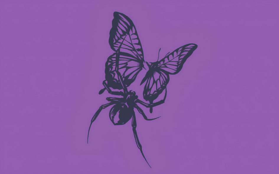 Паук или Бабочка?