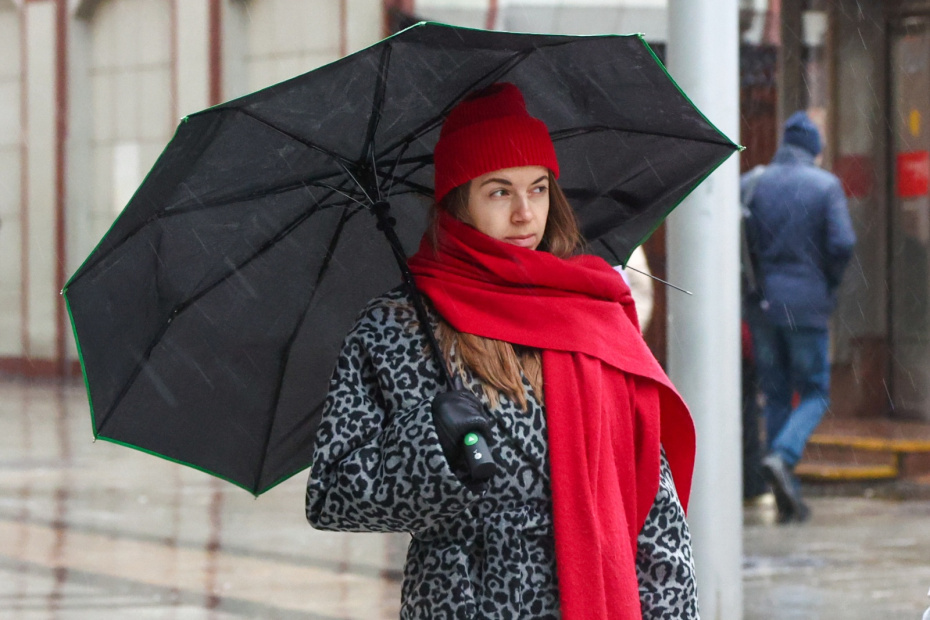    Наталья Шатохина/NEWS.ru