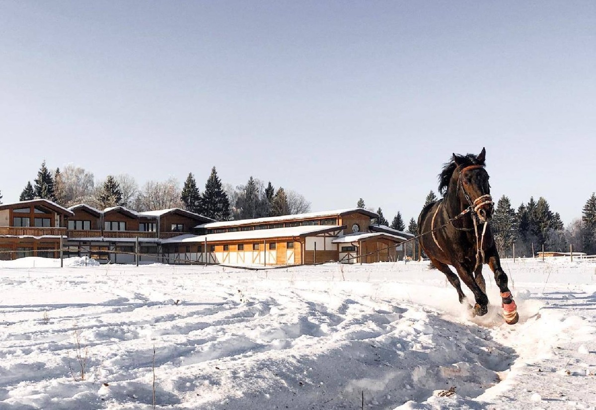    Фото: пресс-служба эко-отеля «ЭКОРАНЧО»