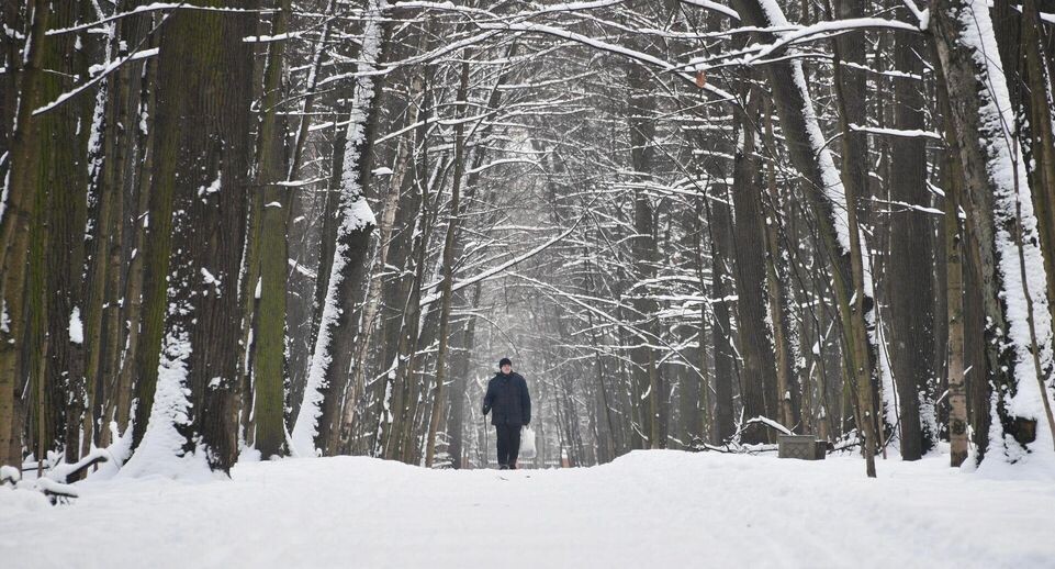    РИА «Новости»