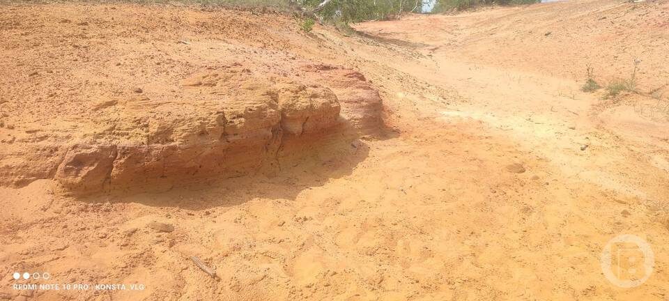    Фото: "Городские вести"