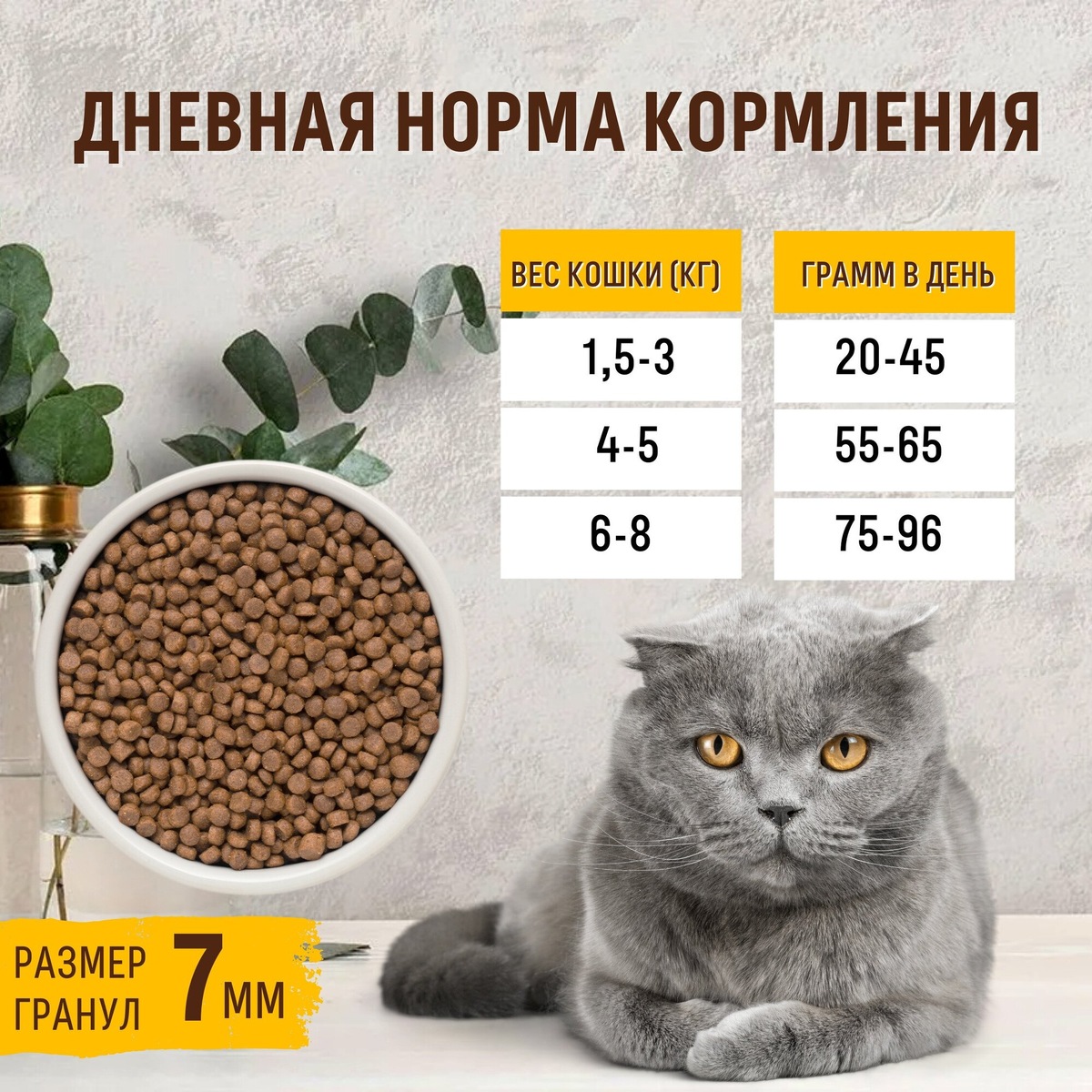 Фотография из интернета