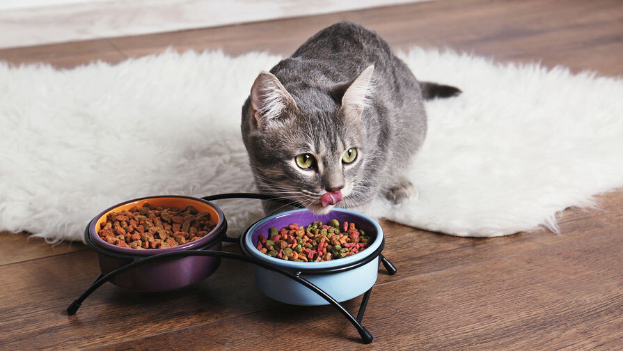 Фотография из интернета