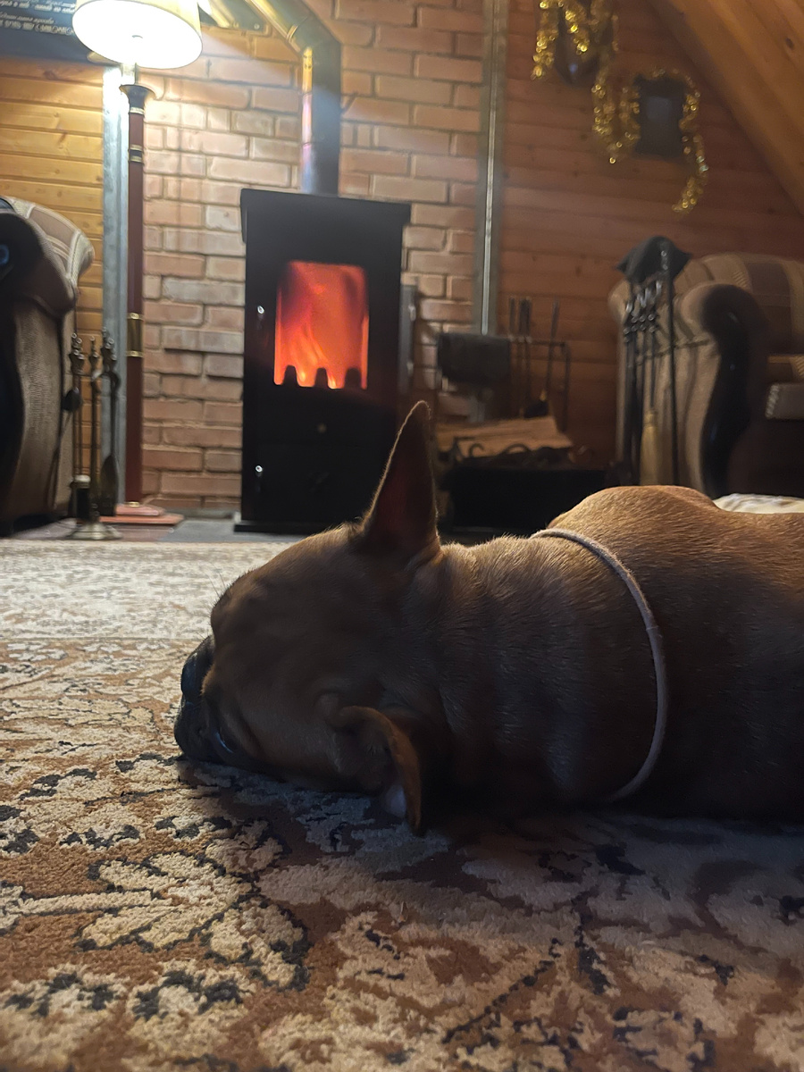 Вот такой любитель поспать у камина
