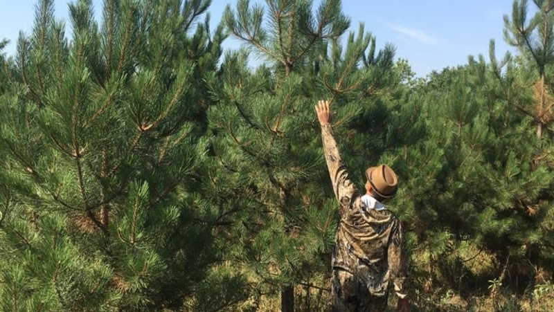      Фото: Минприроды Ставрополья