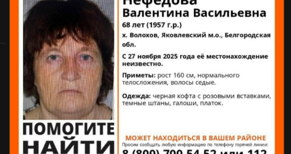 Белгородские волонтеры ищут пропавшую в ноябре женщину