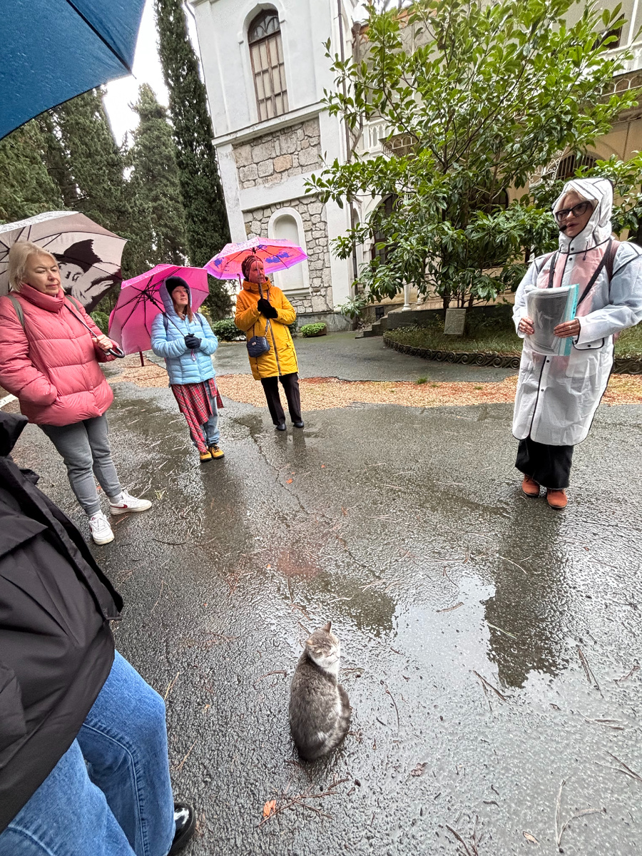Котики были громче экскурсовода