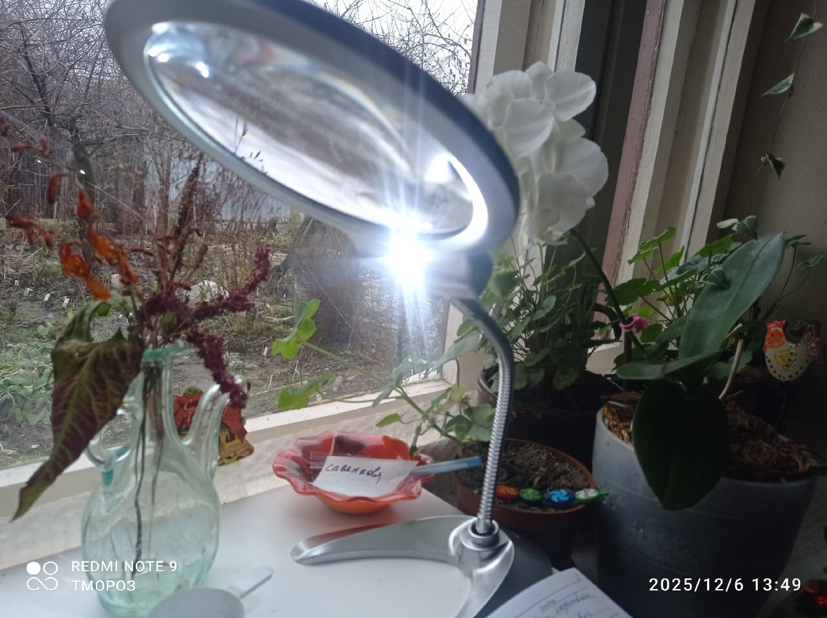 покупка раз