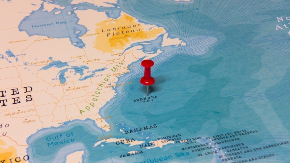     Фото: hyotographics/Shutterstock/FOTODOM