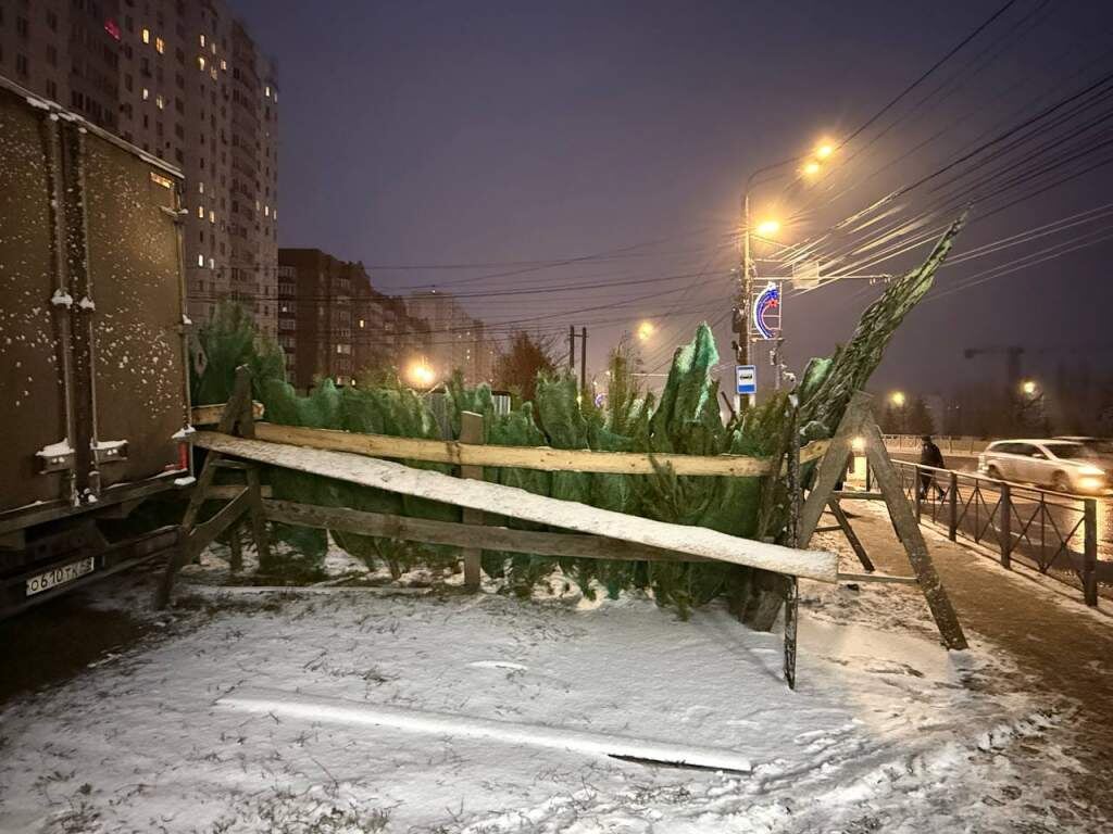    Фото "КурскСити"